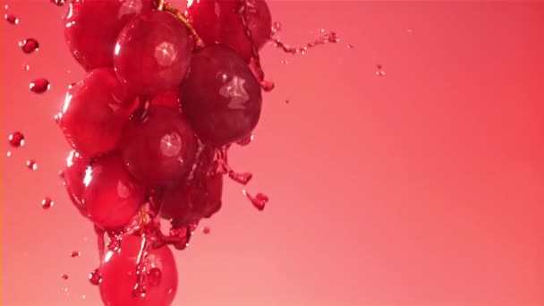 赤ワインはブドウの枝を走る 1000Fpsで高速カメラで撮影しました 高品質のフルHd映像 — ストック動画