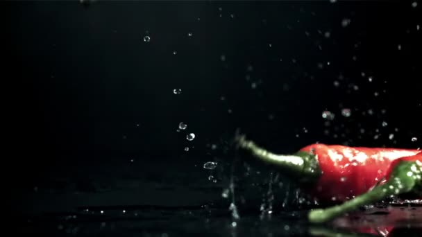 Chilli Papričky Padají Mokrý Černý Stůl Natočeno Vysokorychlostní Kameře Rychlostí — Stock video