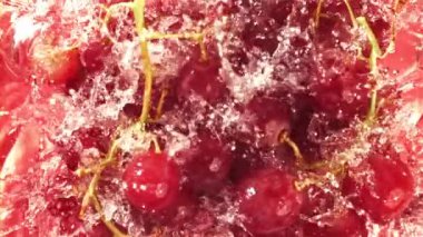 Kırmızı üzümler suya su sıçratarak düşer. Üst Manzara. 1000 fps 'de yüksek hızlı bir kamerayla çekildi. Yüksek kaliteli FullHD görüntüler
