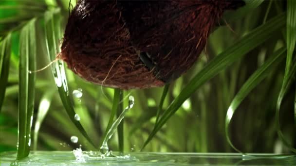 Die Kokosnuss Halbiert Sich Durch Spritzer Gefilmt Mit Einer Hochgeschwindigkeitskamera — Stockvideo