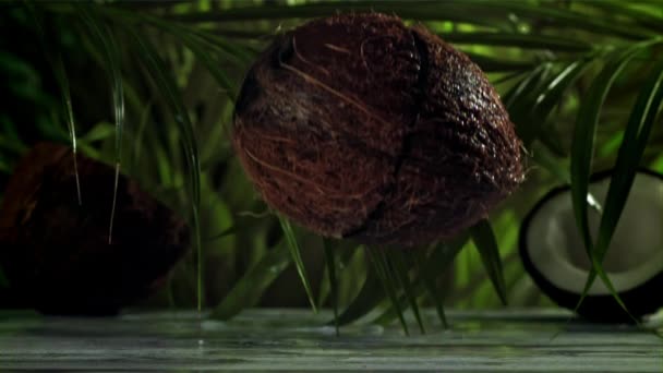 Kokosnoot Breekt Tweeën Met Spatten Gefilmd Een Hoge Snelheidscamera Met — Stockvideo