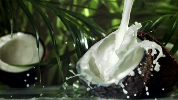 Laptele Este Turnat Într Jumătate Nucă Cocos Stropiță Filmat Cameră — Videoclip de stoc