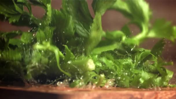 芹菜枝条落在潮湿的桌子上 在1000英尺每秒的高速相机上拍摄 优质Fullhd影片 — 图库视频影像