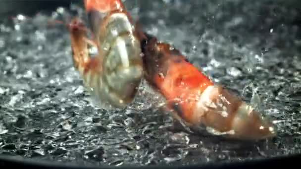 Shrimp Splashes Fall Water Filmed High Speed Camera 1000 Fps — Stock Video