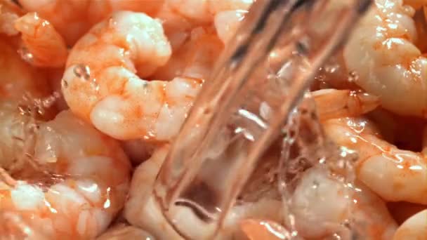 Water Poured Fresh Shrimp Splashes Filmed High Speed Camera 1000 — Stock Video