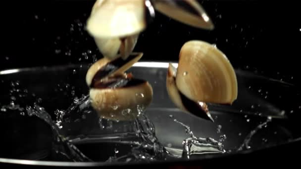 新鮮なボンゴールが鍋に飛び込む 1000Fpsで高速カメラで撮影しました 高品質のフルHd映像 — ストック動画