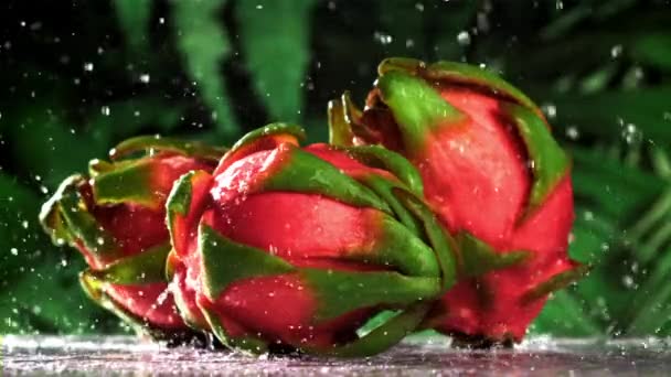 Tropikal Bir Ejderha Meyvesine Bir Damla Düşer 1000 Fps Yüksek — Stok video