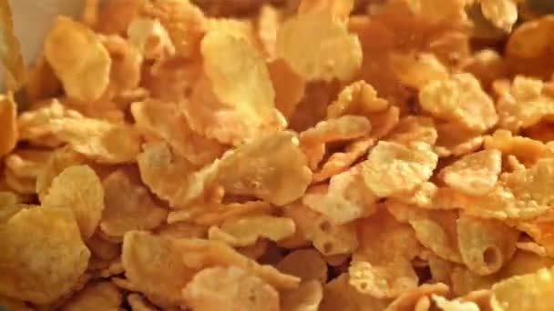 Les Cornflakes Tombent Dans Une Assiette Filmé Par Une Caméra — Video