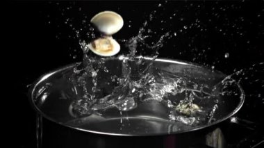 Taze vongole tavaya uçuyor. 1000 fps 'de yüksek hızlı bir kamerayla çekildi. Yüksek kaliteli FullHD görüntüler