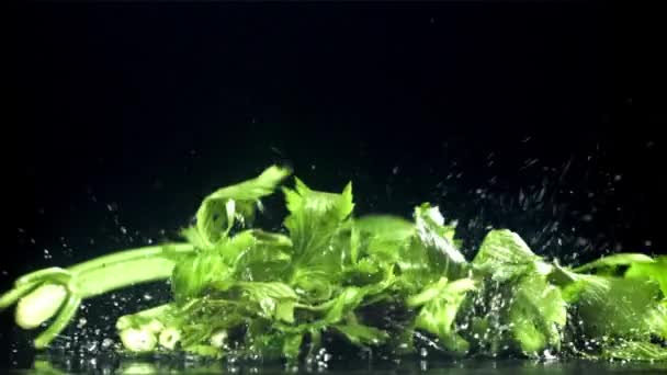 セロリスプリッグは濡れたテーブルに落ちる 1000Fpsで高速カメラで撮影しました 高品質のフルHd映像 — ストック動画