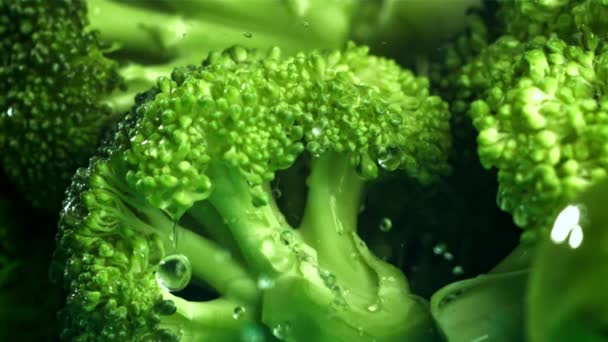 Wassertropfen Fallen Auf Den Brokkoli Gefilmt Mit Einer Hochgeschwindigkeitskamera Bei — Stockvideo