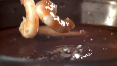 Karides sıçraması suya düşer. 1000 fps 'de yüksek hızlı bir kamerayla çekildi. Yüksek kaliteli FullHD görüntüler