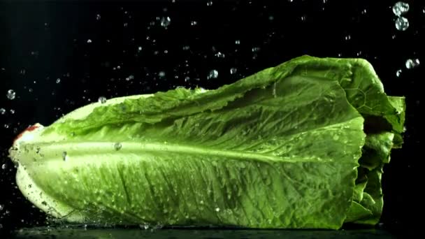 Verse Sla Met Waterdruppels Gefilmd Een Hoge Snelheidscamera Met 1000 — Stockvideo