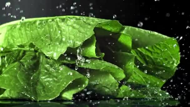 Verse Sla Met Waterdruppels Gefilmd Een Hoge Snelheidscamera Met 1000 — Stockvideo