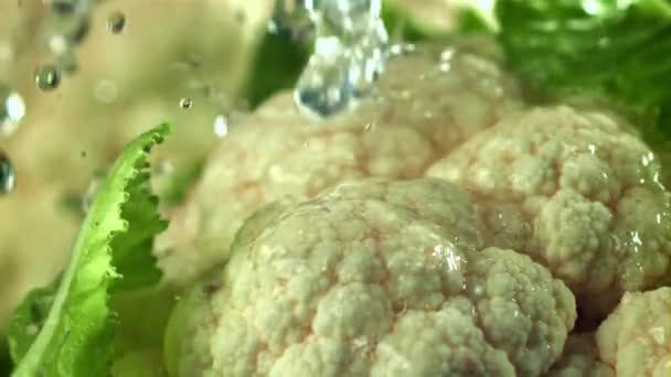 雨滴落在花椰菜上 在1000英尺每秒的高速相机上拍摄 优质Fullhd影片 — 图库视频影像