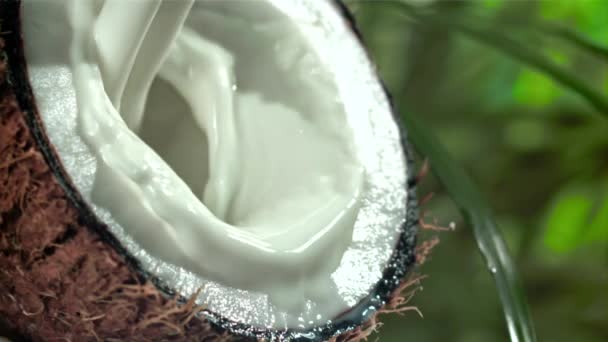 우유는 반으로 튀겨진 코코넛에 부어집니다 1000 Fps의 카메라로 촬영했습니다 고품질 — 비디오