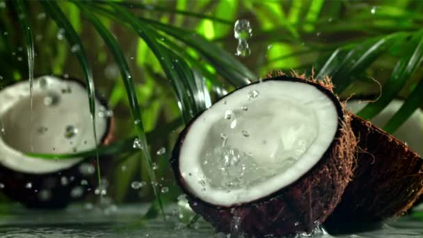 Kokosnuss Mit Spritzern Wasser Gefilmt Mit Einer Hochgeschwindigkeitskamera Bei 1000 — Stockvideo