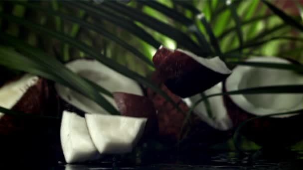 Des Morceaux Noix Coco Tombent Sur Table Filmé Par Une — Video