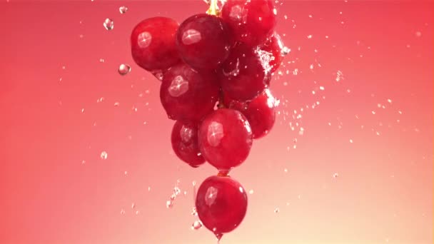 Regendruppels Vallen Een Tak Van Rode Druiven Een Roze Achtergrond — Stockvideo