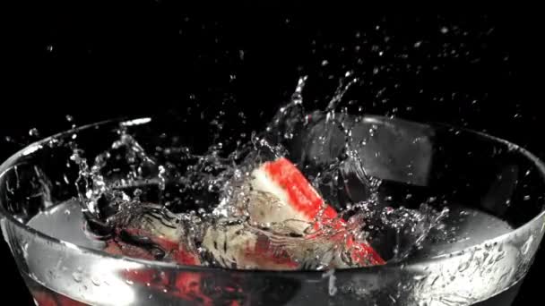 螃蟹树枝掉进水里了 在1000英尺每秒的高速相机上拍摄 优质Fullhd影片 — 图库视频影像