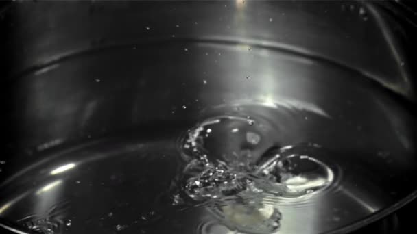 新鲜的孔雀飞进锅子里 在1000英尺每秒的高速相机上拍摄 优质Fullhd影片 — 图库视频影像