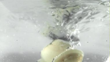 Vongole su sıçratarak suya düşüyor. 1000 fps 'de yüksek hızlı bir kamerayla çekildi. Yüksek kaliteli FullHD görüntüler
