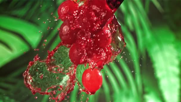 Vin Rouge Coule Dans Une Branche Raisin Filmé Par Une — Video