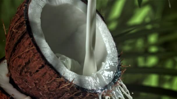 Молоко Наливають Половину Кокосового Горіха Сплеском Знімався Високошвидкісній Камері Швидкістю — стокове відео