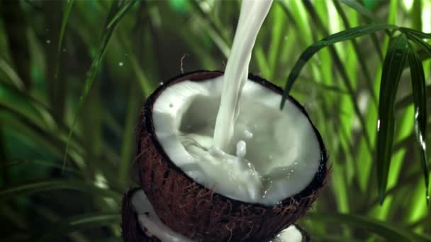 우유는 반으로 튀겨진 코코넛에 부어집니다 1000 Fps의 카메라로 촬영했습니다 고품질 — 비디오
