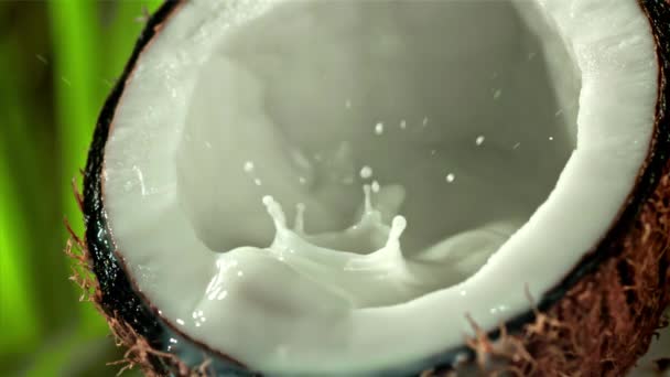 牛乳はスプラッシュでココナッツの半分に注ぎ込まれています 1000Fpsで高速カメラで撮影しました 高品質のフルHd映像 — ストック動画