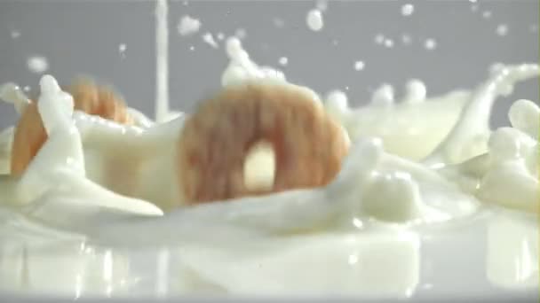 옥수수 조각은 우유에 떨어집니다 1000 Fps의 카메라로 촬영했습니다 고품질 Fullhd — 비디오