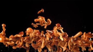 Turşulu mantarlar uçar ve düşer. 1000 fps 'de yüksek hızlı bir kamerayla çekildi. Yüksek kaliteli FullHD görüntüler
