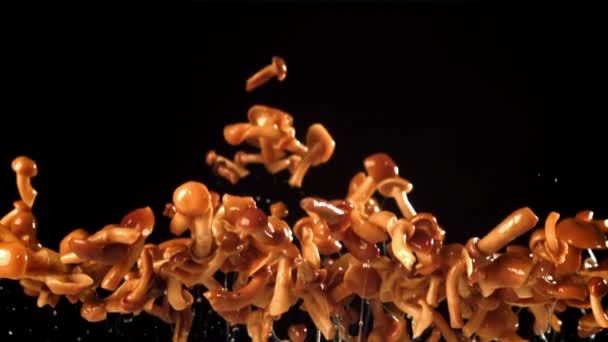 Pickled Mushrooms Fly Fall Filmed High Speed Camera 1000 Fps — Stock Video