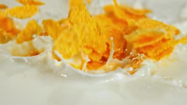 Super Slow Motion Milk Cornflakes Filmed High Speed Camera 1000 — Stock Video