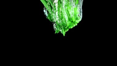 Süper yavaş çekimde taze kereviz hava kabarcıklarıyla suya düşer. 1000 fps 'de yüksek hızlı bir kamerayla çekildi. Yüksek kaliteli FullHD görüntüler