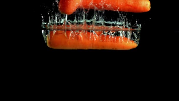 Супер Медленное Движение Спелых Морковок Брызгами Падает Воду Снято Высокоскоростную — стоковое видео
