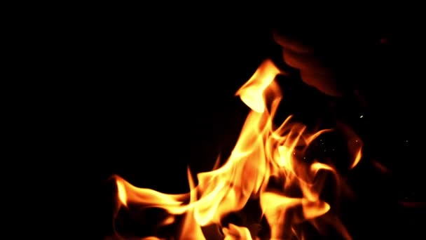 Ateşin Parlak Alevinin Süper Yavaş Hareket Eden Dilleri Evet Yüksek — Stok video