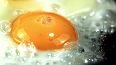 Çok yavaş çekimde pişmiş yumurta. Yüksek kaliteli FullHD görüntüler