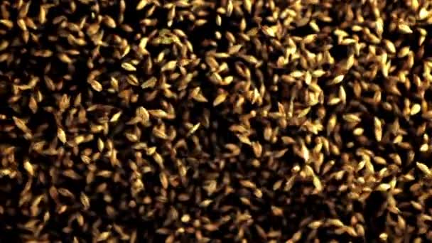 ライ麦のスローモーションがテーブルの上に落ちる 高品質のフルHd映像 — ストック動画
