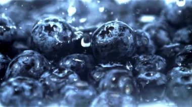 Çok yavaş akan su damlaları yaban mersinlerinin üzerine düşüyor. Yüksek kaliteli FullHD görüntüler