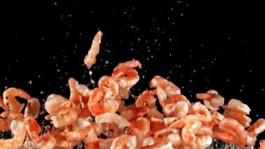 Süper yavaş çekimde taze karides uçar ve düşer. Yüksek kaliteli FullHD görüntüler