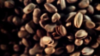 Süper yavaş çekim şam fıstıkları uçar ve düşer. Yüksek kaliteli FullHD görüntüler