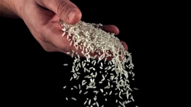 Erkek Avuçlarından Süper Yavaş Çekimde Çiğ Pirinç Dökülüyor Yüksek Kaliteli — Stok video