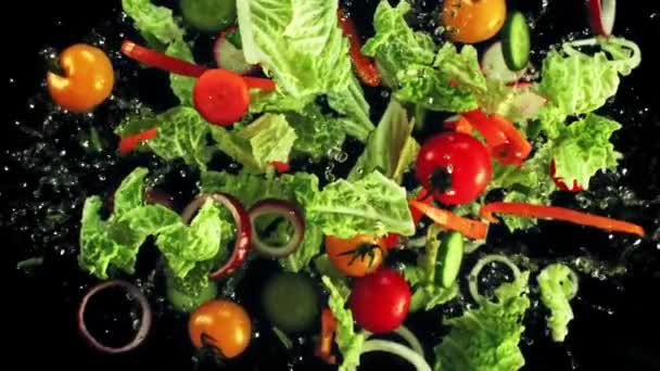 レタス トマト ニンジン その他の野菜の鮮やかなサラダは 魅惑的で爽快なビジュアルディスプレイの高品質で黒い背景に対して優雅に水に落ちます — ストック動画