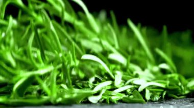 Biberiyenin çok yavaş hareket eden dalları. Yüksek kaliteli FullHD görüntüler