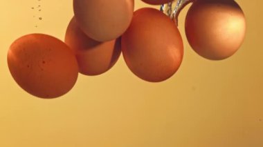 Süper yavaş çekim yumurtaları kabarcıklarla suya düşer. Yüksek kaliteli FullHD görüntüler