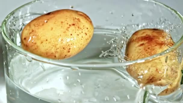 Super Zeitlupe Kartoffeln Fallen Einen Topf Mit Wasser Mit Spritzern — Stockvideo