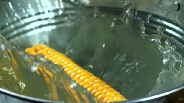 Super Spowolniona Kukurydza Wpada Wiadra Wody Wysokiej Jakości Materiał Filmowy — Wideo stockowe