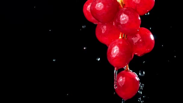 Süper Yavaş Çekim Taze Üzümler Yüksek Kaliteli Fullhd Görüntüler — Stok video