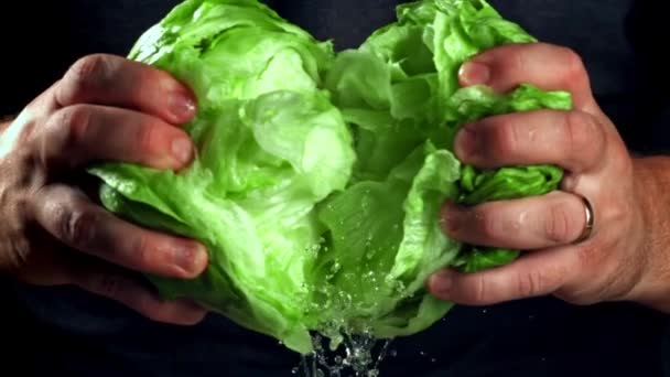 Super Zeitlupe Die Köchin Zerlegt Den Frischen Salat Hochwertiges Fullhd — Stockvideo